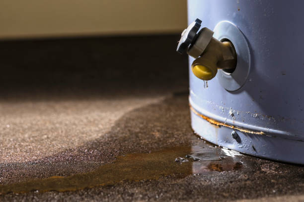 Best Flooded house restoration  in Tuskegee, AL