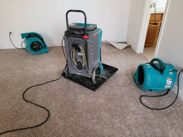Best Sewage cleanup and water damage restoration  in Tuskegee, AL