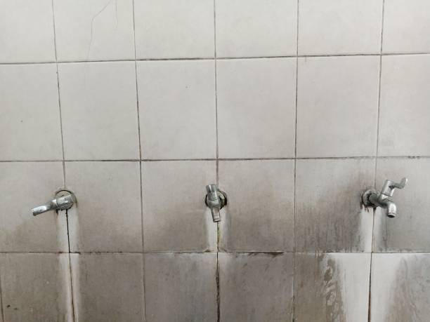 Best 24/7 water damage repair  in Tuskegee, AL